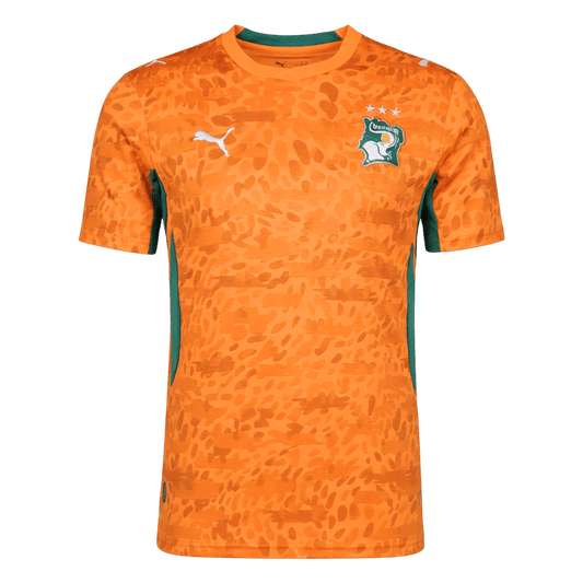 Côte d'Ivoire Home Soccer Jersey World Cup 2026 Orange